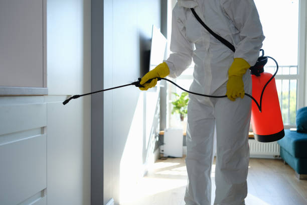 Professional Mold Prevention & Removal  in Mazomanie, WI